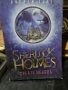 Tanarul Sherlock Holmes. Gheata neagra - Andrew Lane