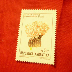 Serie Argentina 1987 - Flora - Cactus , 1 valoare