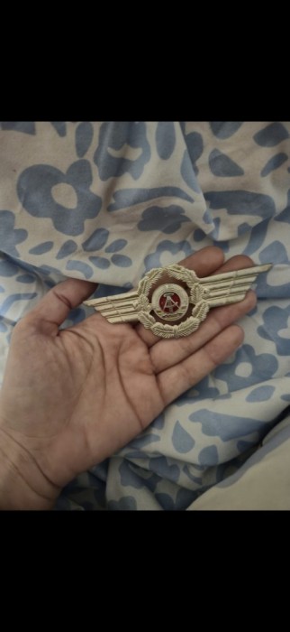 Insigna Pilot RDG/DDR