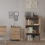 Cumpara ieftin Biblioteca Adore Rio Mini, 3 rafturi, 72 x 109 x 34 cm