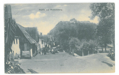 550 - CISNADIOARA, Sibiu, Romania - old postcard - used foto