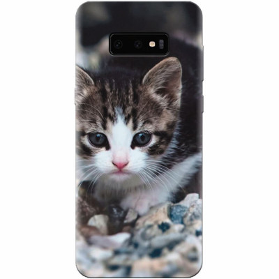 Husa silicon pentru Samsung Galaxy S10 Lite, Animal Cat foto