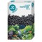 Pelete carbune activ Coco Carbon 135 g