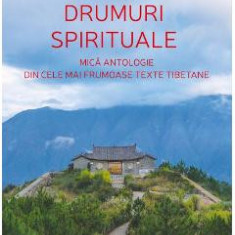 Drumuri spirituale - Matthieu Ricard