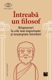 &Icirc;ntreabă un filosof. Răspunsuri la cele mai importante și neașteptate &icirc;ntrebări - Paperback - Ian Olasov - Niculescu