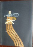 Cumpara ieftin CATALOG EXPOZITIE SORIN ILFOVEANU (MUZEUL DE ARTA DIN TIMISOARA/2016/TIRAJ 500)