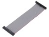 Cablu panglică SAMTEC IDC 20 pini 101,6mm FFSD-20-D-04.00-01-N-R