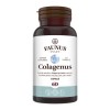 COLAGENUS 60CPS, Faunus Plant