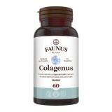 COLAGENUS 60CPS