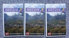 Harta orasului si imprejurimi Brezoi, judetul Valcea (3 bucati) foto