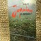 Japonia un miracol ? - Florea Tuiu