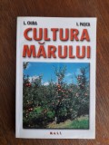 Cultura marului - L. Chira / R2P1S, Alta editura