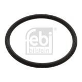 FEBI BILSTEIN 17966 Garnitura termostat