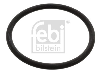 FEBI BILSTEIN 17966 Garnitura termostat foto