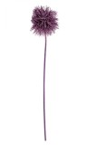 Set 6 flori artificiale mov Cirsium 67 cm