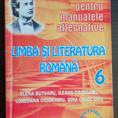 Limba și literatura română, clasa a VI-a - Elena Butnaru, Ileana Cojocaru