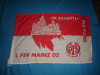 STEAG DE FOTBAL MAINZ ORIGINAL