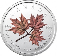 CANADA 5 DOLLARS -MAPLE LEAF- 2001- COLORAT/ 1 oz./31,39gr./Ag. 0999 /BU foto