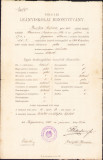 HST A1904 Certificat școlar 1906 Făgăraș elevă rom&acirc;ncă ortodoxă