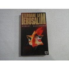 TEROARE LA IERUSALIM - Robert ROSENBERG
