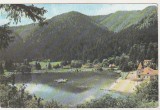 bnk cp Tusnad - Lacul Ciucas - circulata