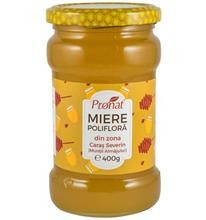 Miere Poliflora 400gr Pronat Cod: PRN574 foto