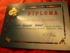Diploma Micul Chitarist- Fundatia Romana de Chitara- Festival Internat.2006