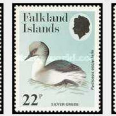 Falkland Islands 1984 - Pasari, serie neuzata