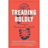 Treading Boldly Through a Pornographic World