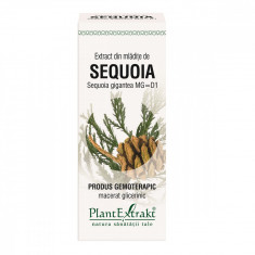 Extract din mladite de sequoia, 50ml, PlantExtrakt