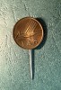 Insigna tip pin Romania IAR
