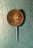 Insigna tip pin Romania IAR
