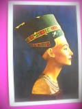 HOPCT 6803 REGINA NEFERTITI - -EGIPT -AFRICA-NECIRCULATA
