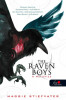 The raven boys - A Holl&oacute;fi&uacute;k - PUHAT&Aacute;BLA - Maggie Stiefvater