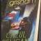 John Grisham - Cazul Pelican