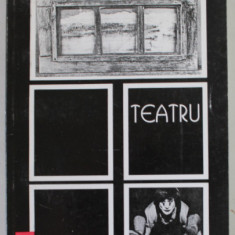 TEATRU de VIRGIL TANASE , 1996