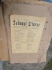 Salonul Literar - nr 8, 1925