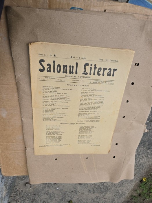 Salonul Literar - nr 8, 1925
