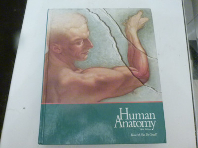 Human anatomy - Kent m.van de Graaff foto