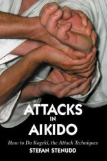 Attacks in Aikido: How to Do Kogeki, the Attack Techniques foto