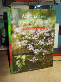 AMENAJAREA MICILOR GRADINI , OAZE DE VERDEATA PE SUPRAFETE MICI AQUILA , 2006**