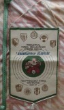 Fanion Dynamo Kyiv - Universitatea Craiova 1985, original