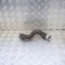 Furtun radiator răcire dreapta MERCEDES-BENZ C W204 2011 OEM: A2045011682 10657261