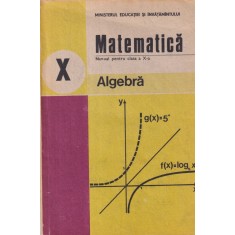 C. Nastasescu, C. Nita, S. Popa - Matematica. Manual pentru clasa a X-a. Algebra
