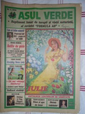 Asul Verde numarul 5 din 2004 foto
