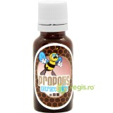 Propolis Extract Moale 70% 20ml
