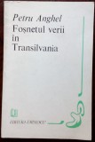 PETRU ANGHEL - FOSNETUL VERII IN TRANSILVANIA (VERSURI) [editia princeps, 1983]