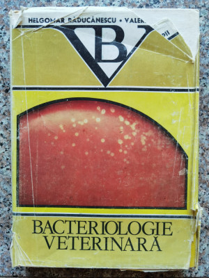 Bacteriologie Veterinara - H. Raducanescu V. Bica-popii ,554059 foto