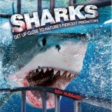 Sharks: Get Up Close to Nature&#039;s Fiercest Predators