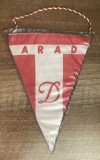 D9 19 - fanion - sport - cluburi sportive - Dinamo Arad